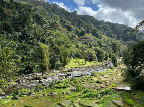 Masoala Nature Guide and Tours Organize-Maroantsetra必去景点