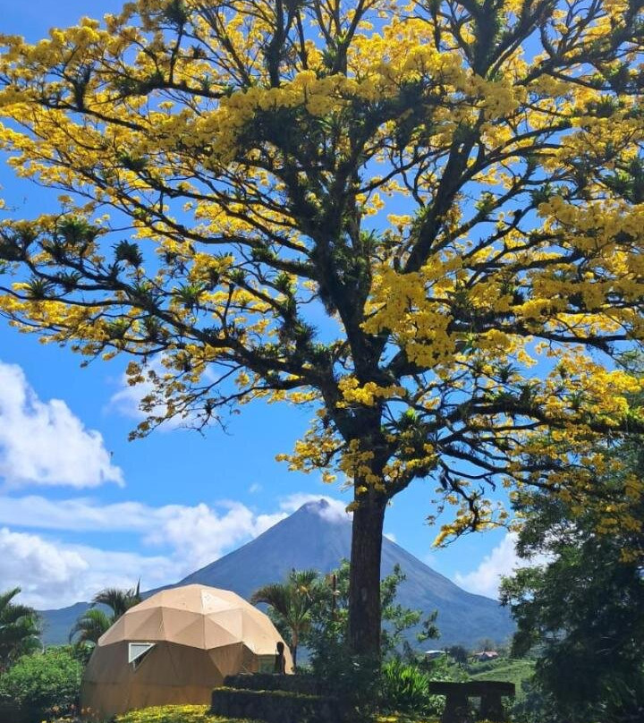 Pura Vista Glamping