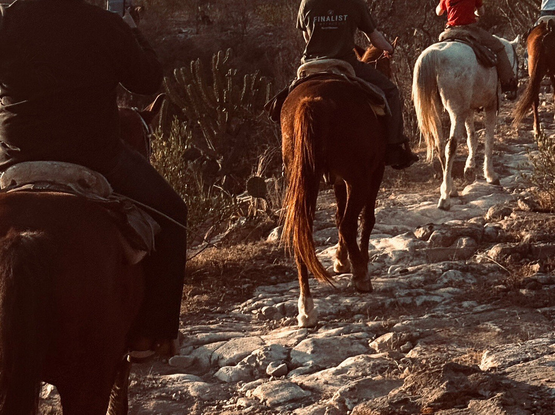 Rancho Xotolar-圣米格尔护城必去景点