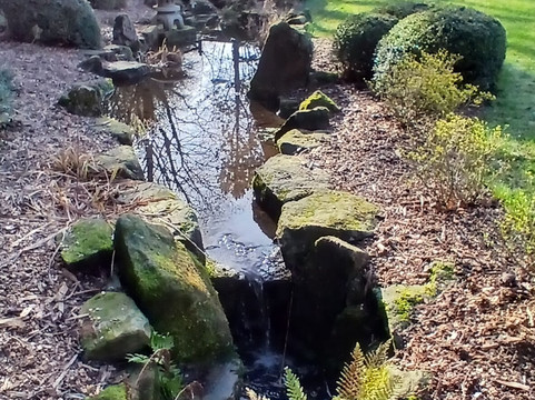 Valley Gardens-哈罗盖特必去景点
