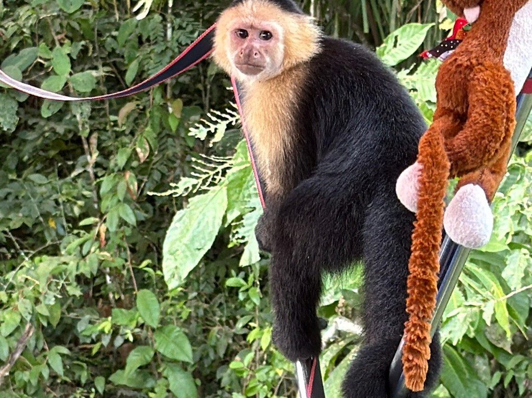 Almiza Tours by My friend Mario-巴拿马城必去景点