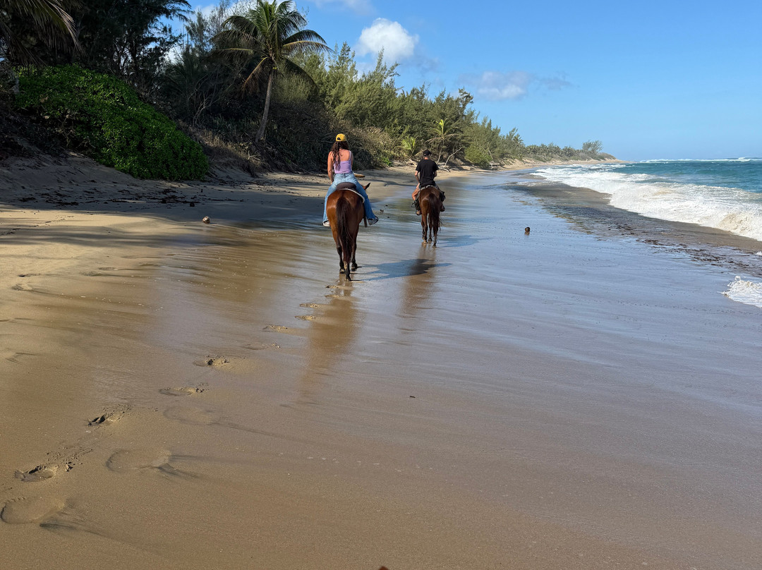 Tropical Trail Rides - Isabela-Isabela必去景点