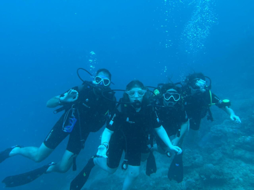 Happy Divers-M'Tsangamouji必去景点