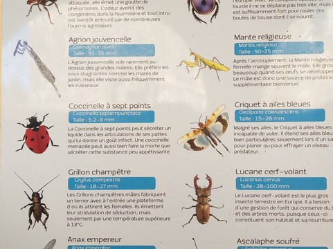 Tourrettes-sur-Loup - Village Medieval-Tourrettes-sur-Loup必去景点