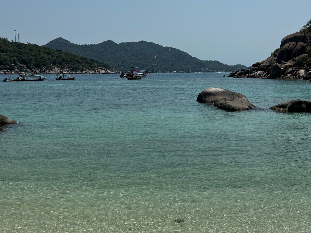 We Travel Snorkeling Adventures-涛岛必去景点