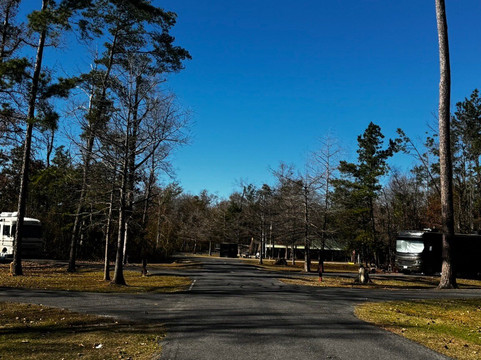 Tickfaw State Park-Springfield必去景点