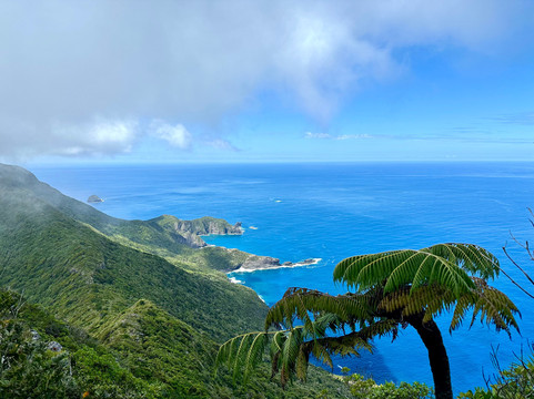 Lord Howe Environmental Tours-豪勋爵群岛必去景点