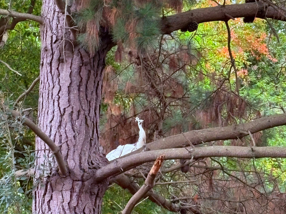 Sheffield Park And Garden-阿克菲尔德必去景点