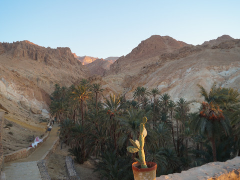 Chebika-Shabikah必去景点