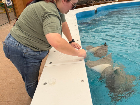 Rooster Cogburn Ostrich Ranch-Picacho必去景点