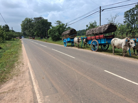 Prem Tours Sri Lanka-尼甘布必去景点