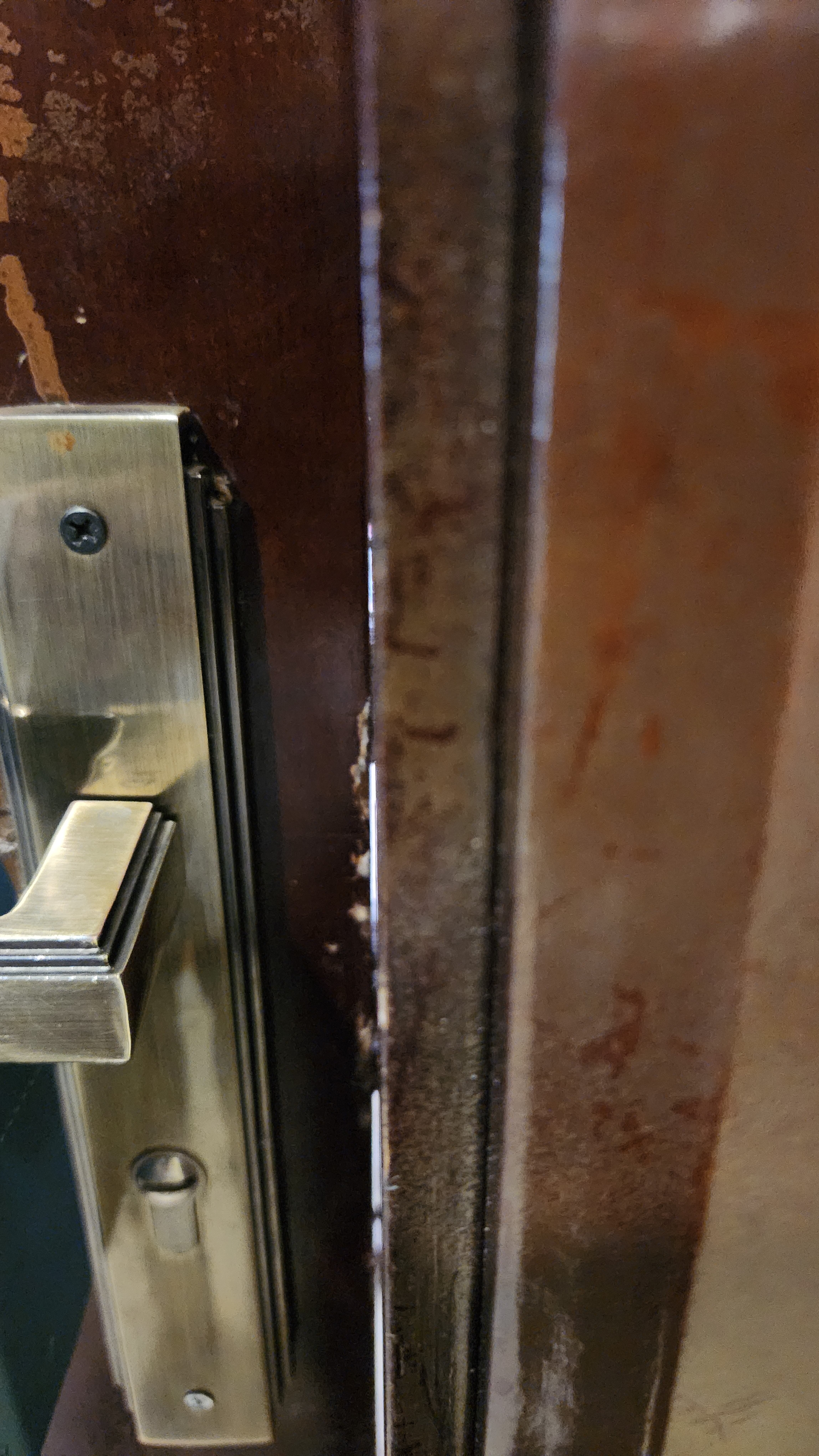 海尔度假村贡德尔酒店-客卧