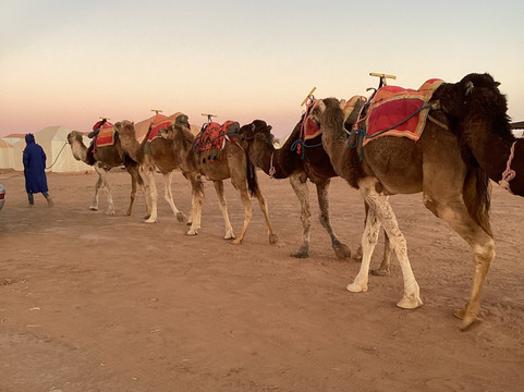 Sahara Unlimited Morocco Tours-马拉喀什必去景点