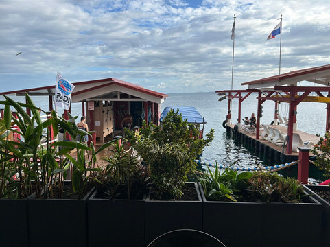 Bocas Dive Center-博卡斯镇必去景点