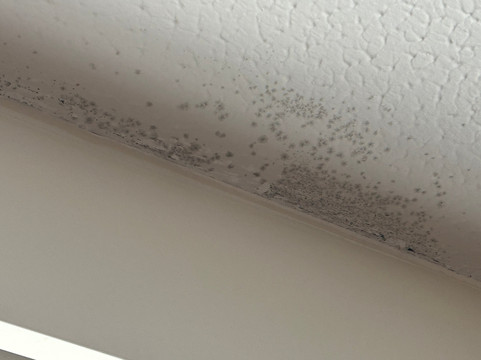 古尔普瑞米尔酒店主图