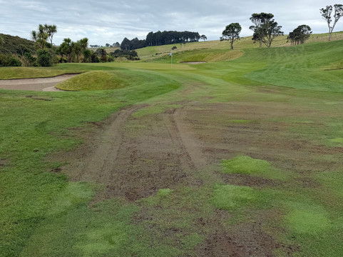 Kauri Cliffs Golf Course-北岛必去景点