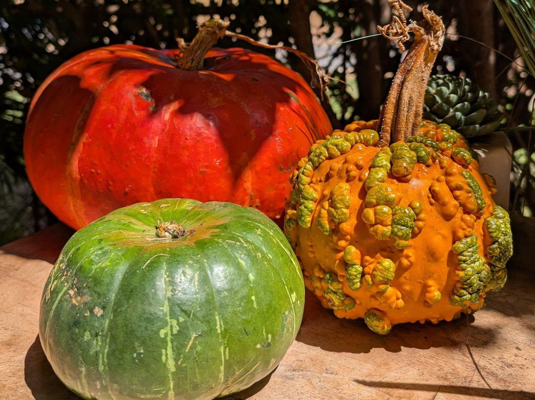 Kula Country Farms-库拉必去景点