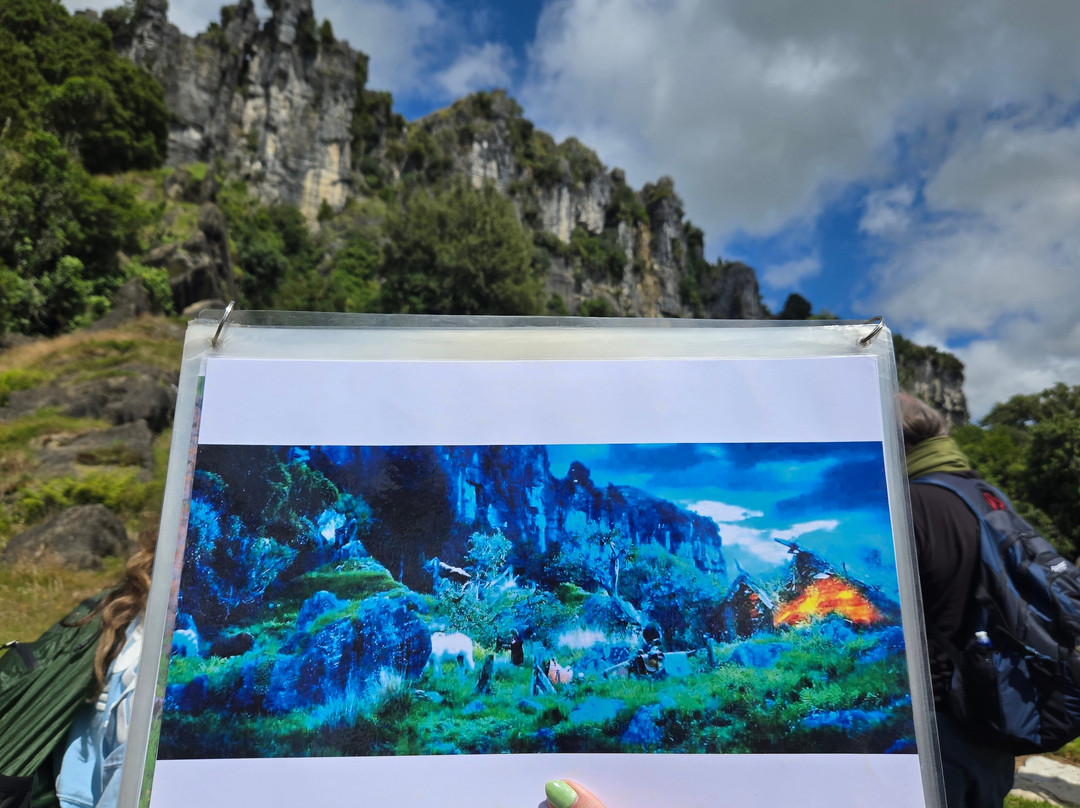 Red Carpet Tours-奥克兰中心地区必去景点