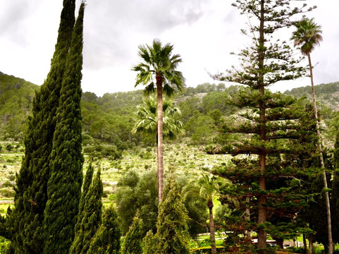 Raixa-Bunyola必去景点