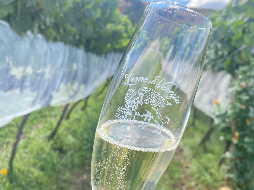 Leone di Venezia Winery-Sao Joaquim必去景点