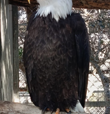 Melios Zoo-尼科西亚必去景点