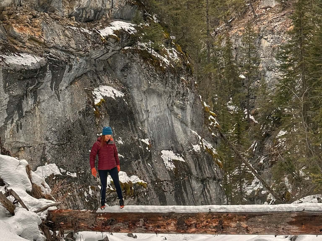Bow Valley Canyon Tour-坎莫尔必去景点