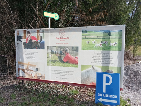 Gut Aiderbichl Henndorf-Henndorf am Wallersee必去景点