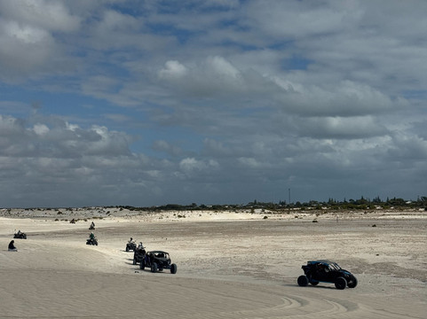 Lancelin Sand Dunes-兰斯林必去景点