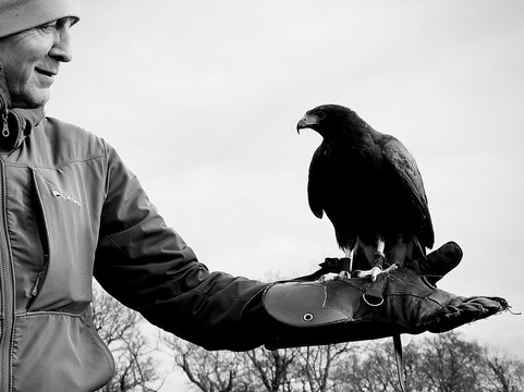 North Devon Hawk Walks-South Molton必去景点