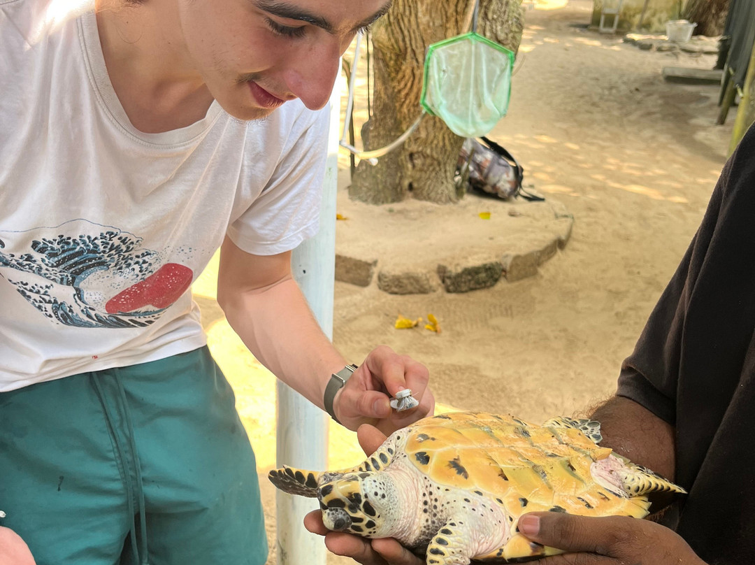 Galbokka Sea Turtle Hatchery-科斯戈德必去景点