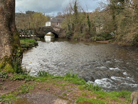 The Waterman's Arms-托特尼斯必去景点