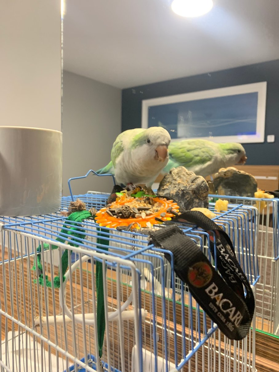 宜必思布拉德福德希普利酒店-官方