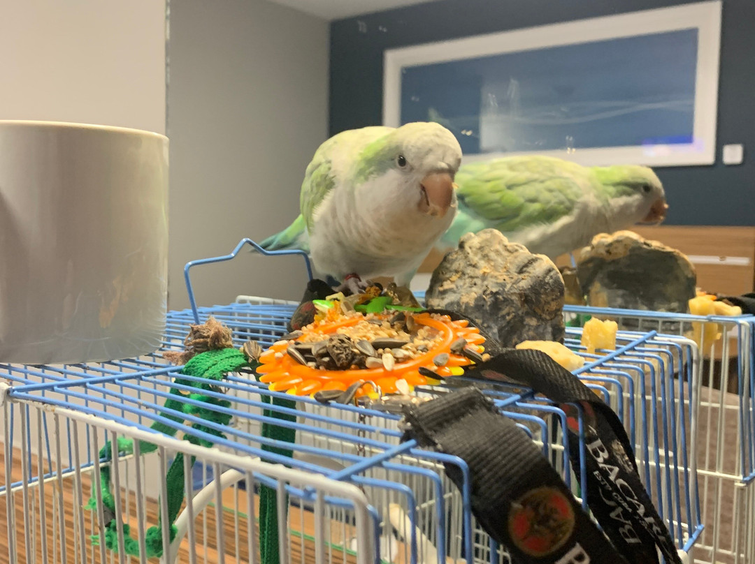 宜必思布拉德福德希普利酒店主图