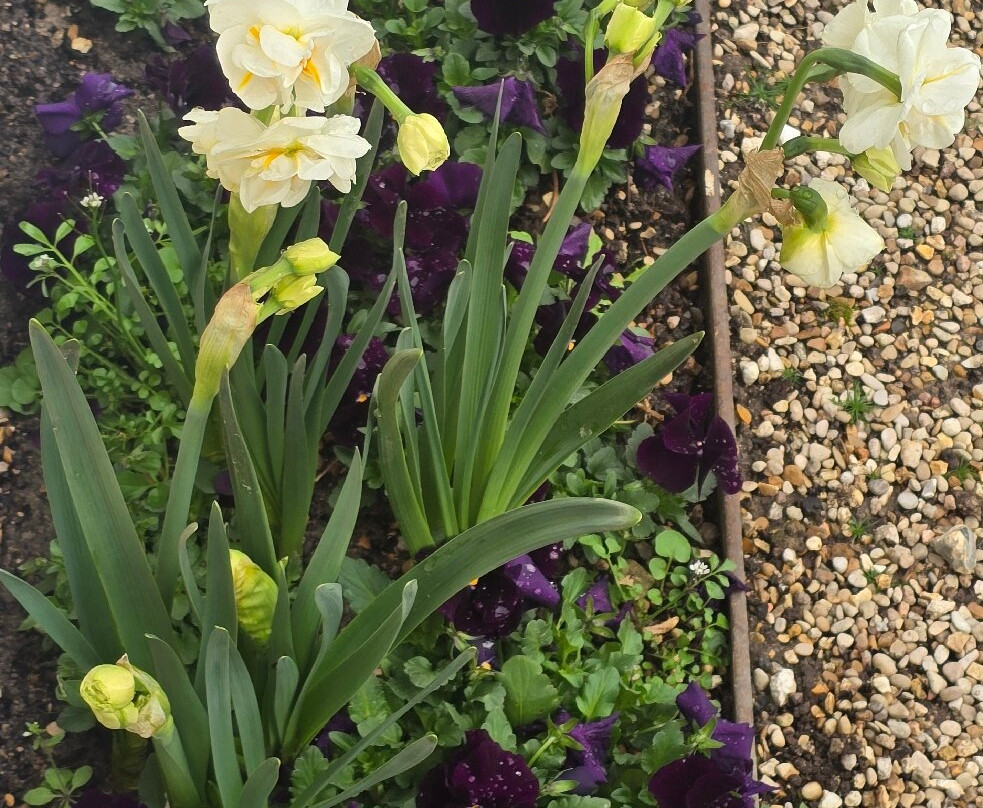 Albert-kahn Musée Départemental-布洛涅-比扬古必去景点