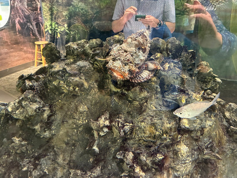 Florida Oceanographic Coastal Center-斯图尔特必去景点