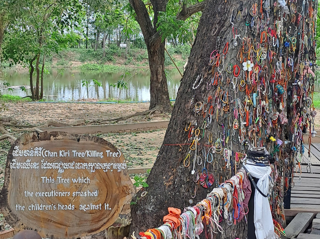 The Killing field and Toul Sleng genocide museum S21 Tour-金边必去景点