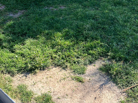 Ancla-阿尔特阿必去景点