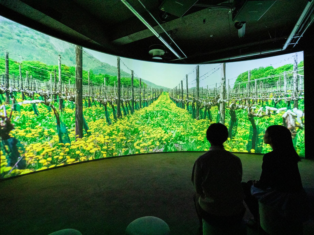 Otaru Wine Gallery-小樽市必去景点