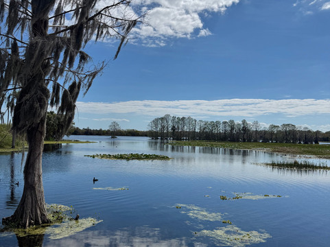 Orlando Wetlands-Christmas必去景点