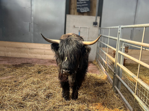 Monk Park Farm-Bagby必去景点