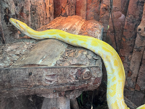 Potter's World-Lanchester必去景点