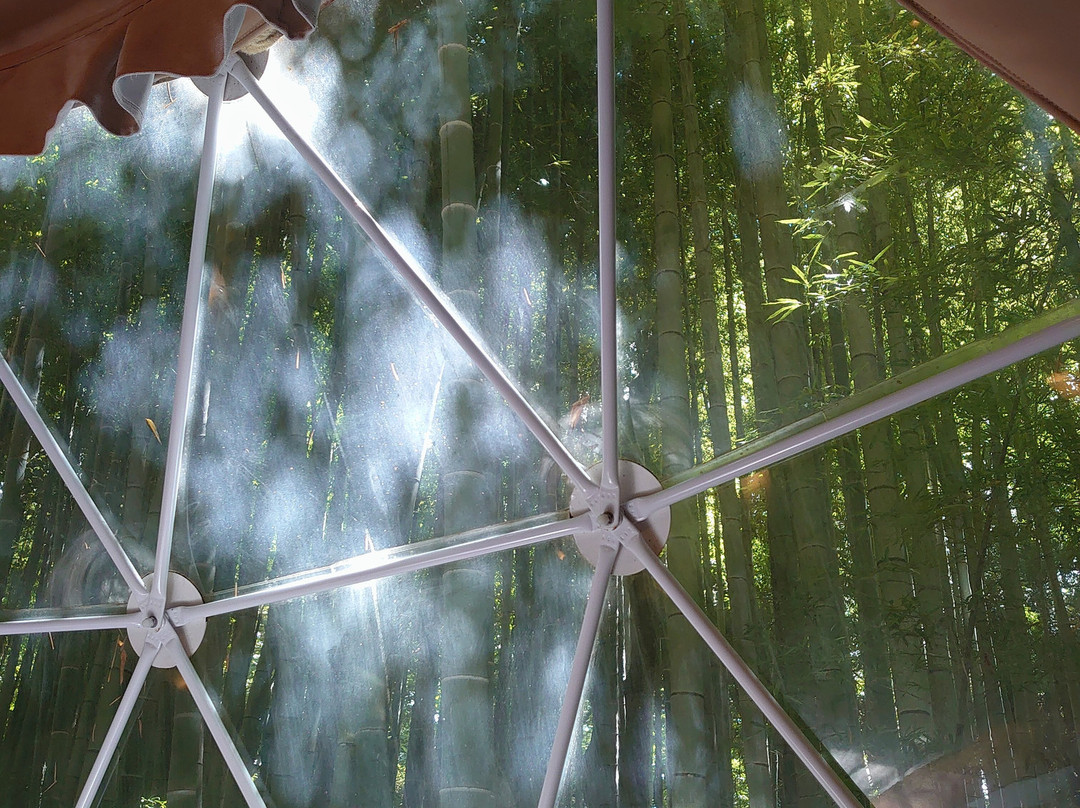 Sayuri World-市原市必去景点