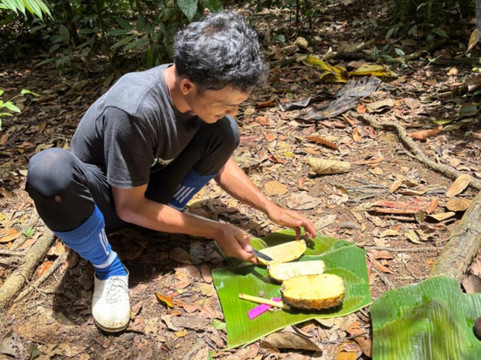 Sumatra Tour Adventures-武吉拉旺必去景点