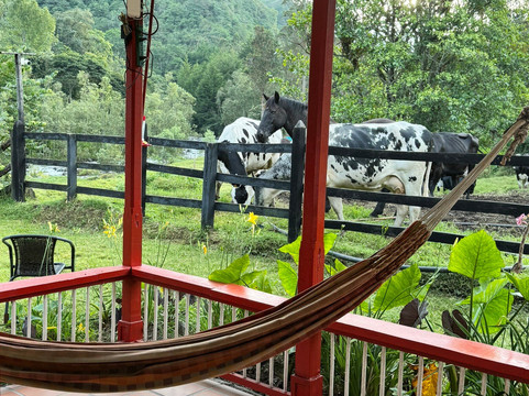 小屋生态酒店主图