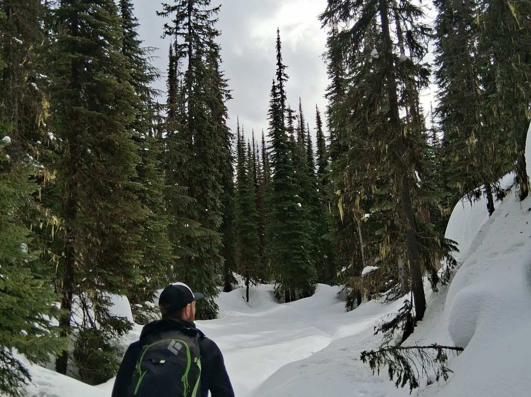 Revelstoke Snowshoe Company-雷夫尔斯托克必去景点