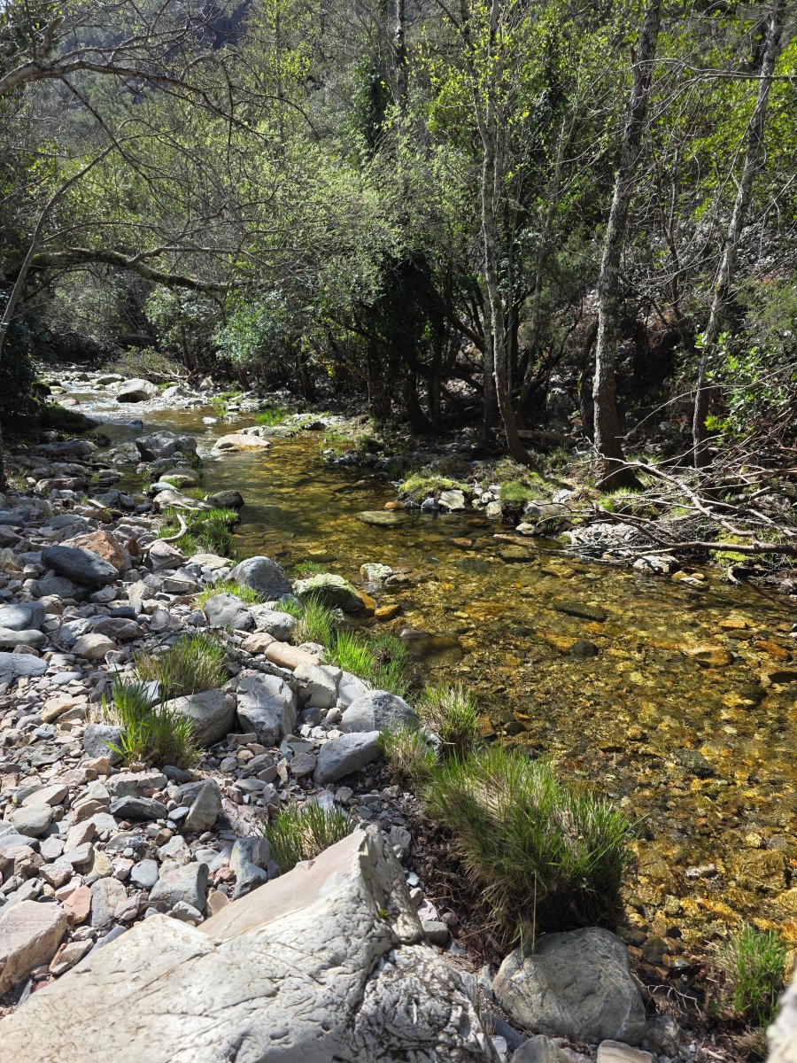 乌尔德斯雷亚勒斯酒店-官方