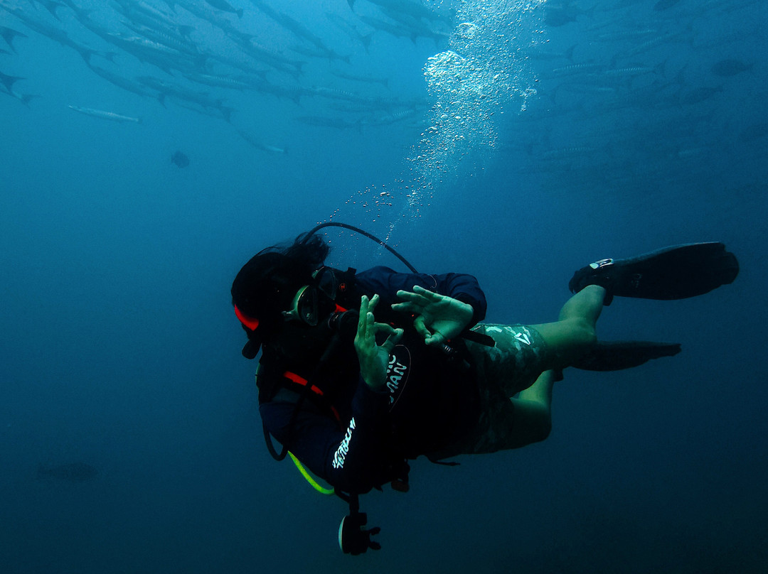 Gypsy Divers Dive Resort-哈夫洛克岛必去景点