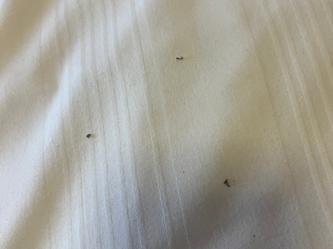 利奇菲尔德普莱米尔酒店市中心主图