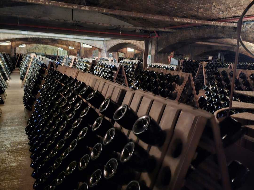 Juvé & Camps-桑特萨杜尔尼达诺亚必去景点