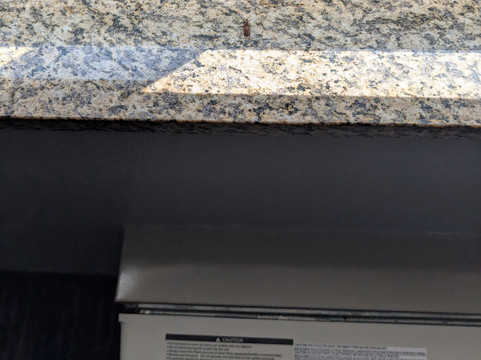 南本德拉昆塔温德姆套房酒店主图